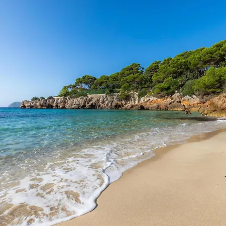 Cas Bunyoler * 칼라 라트자다